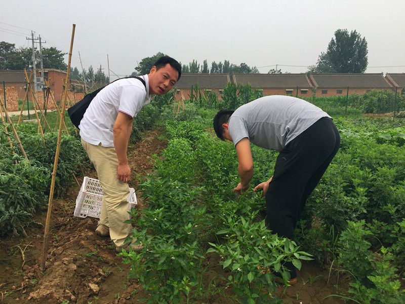 好利來(lái)郭總喊您來(lái)摘菜啦！綠色無(wú)公害，放心！